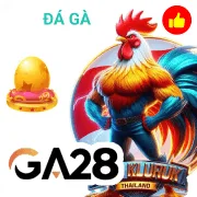 pp881 Game 07